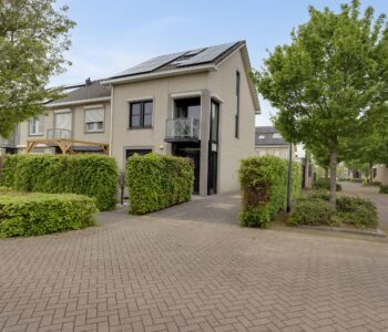 Hoofdafbeelding Pijlkruid 19