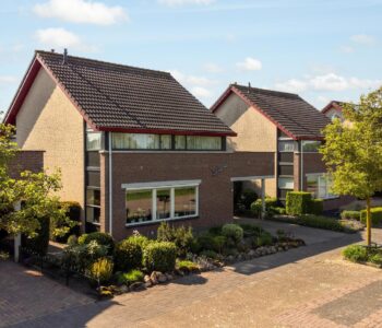 Hoofdafbeelding Tureluur 10